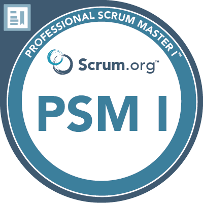 Professional SCRUM Master